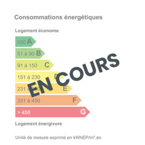 DPE EN COURS